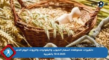 «تغيرات ملحوظة» أسعار الحبوب والبقوليات والزيوت اليوم الأحد 10-8-2025 بالغربية